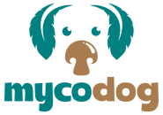 Logo_Full_Color_Transparent_MD